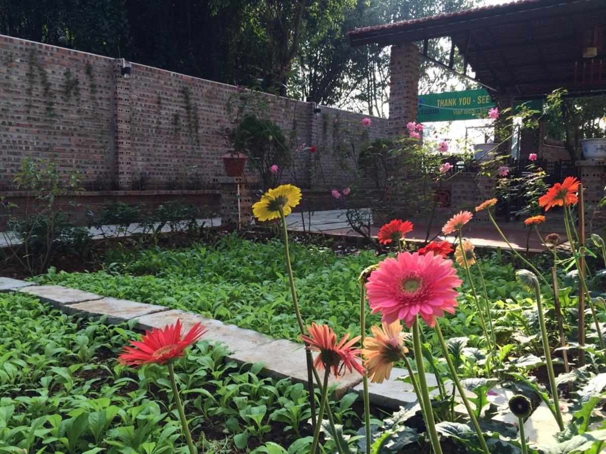 Tam Coc Craft Homestay Ніньбінь Номер фото